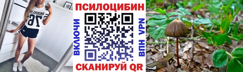 купить   Данилов  Галлюциногенные грибы Psilocybine cubensis 